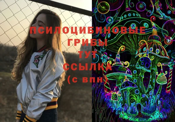 ПСИЛОЦИБИНОВЫЕ ГРИБЫ Бугульма