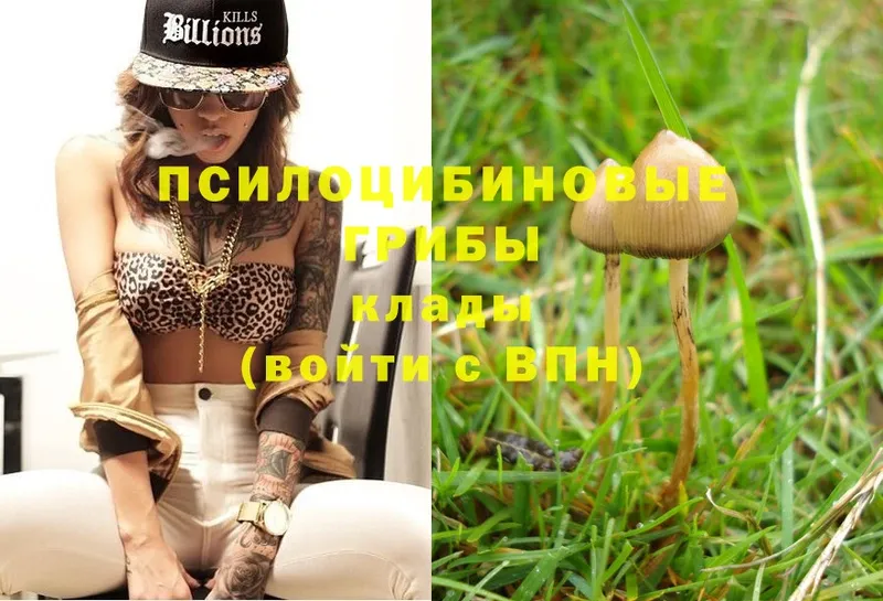 Галлюциногенные грибы MAGIC MUSHROOMS  Малаховка 